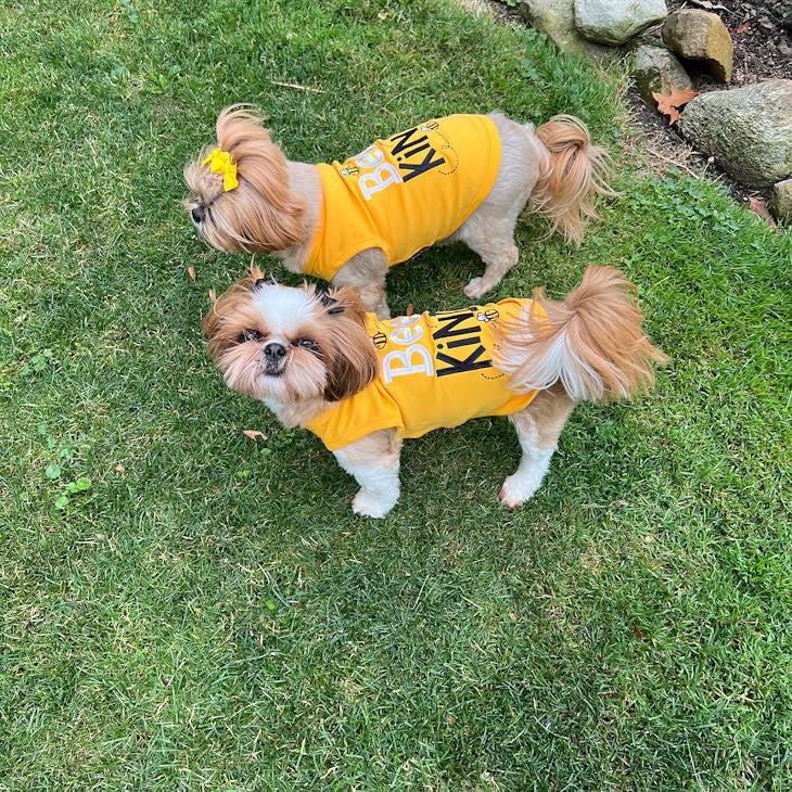 Parisian Pet Bee Kind Embroidered Dog T-Shirt-Yellow