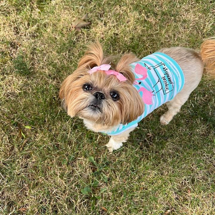Parisian Pet Flamingos Dog T-Shirt-Light Blue & White Stripes