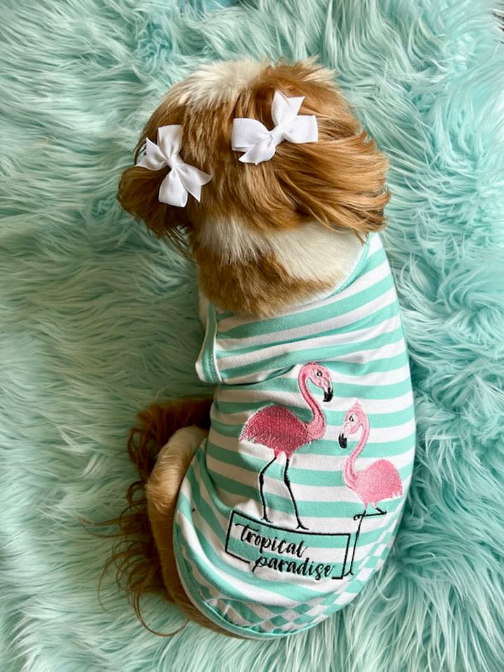 Parisian Pet Flamingos Dog T-Shirt-Light Blue & White Stripes