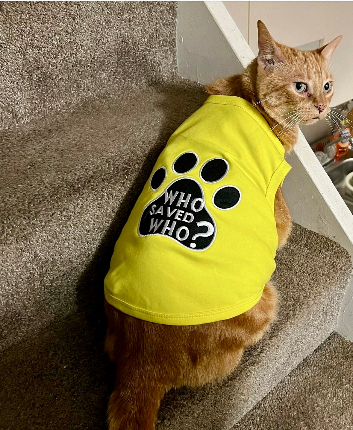 Parisian Pet Who Saved Who Heartwarming Dog T-Shirt-Light Yellow