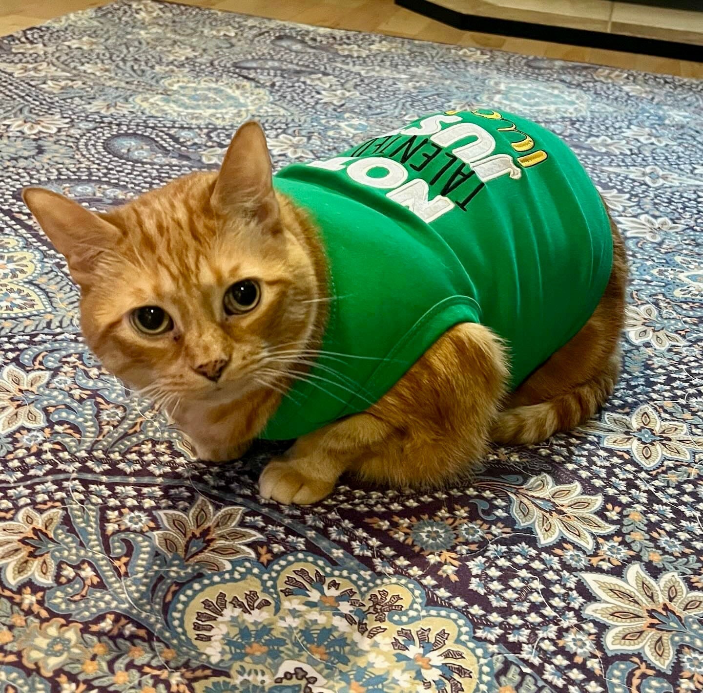 Parisian Pet Not Talented Just Lucky Witty Dog Shirt  Trendy Slogan Pet Apparel for Dogs & Cats-Saint Patricks Day