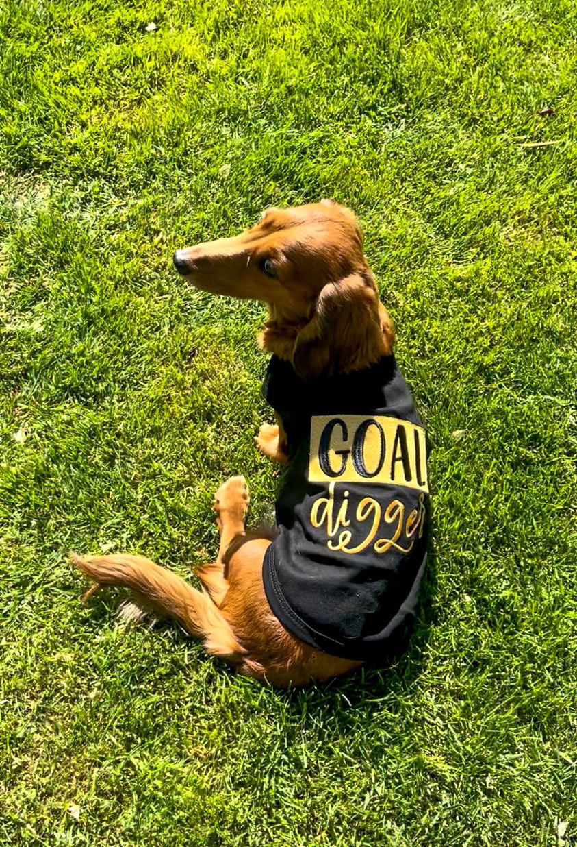 Parisian Pet Goal Digger Motivational Dog Shirt  Trendy Black Embroidered Pet Apparel for Dogs & Cats