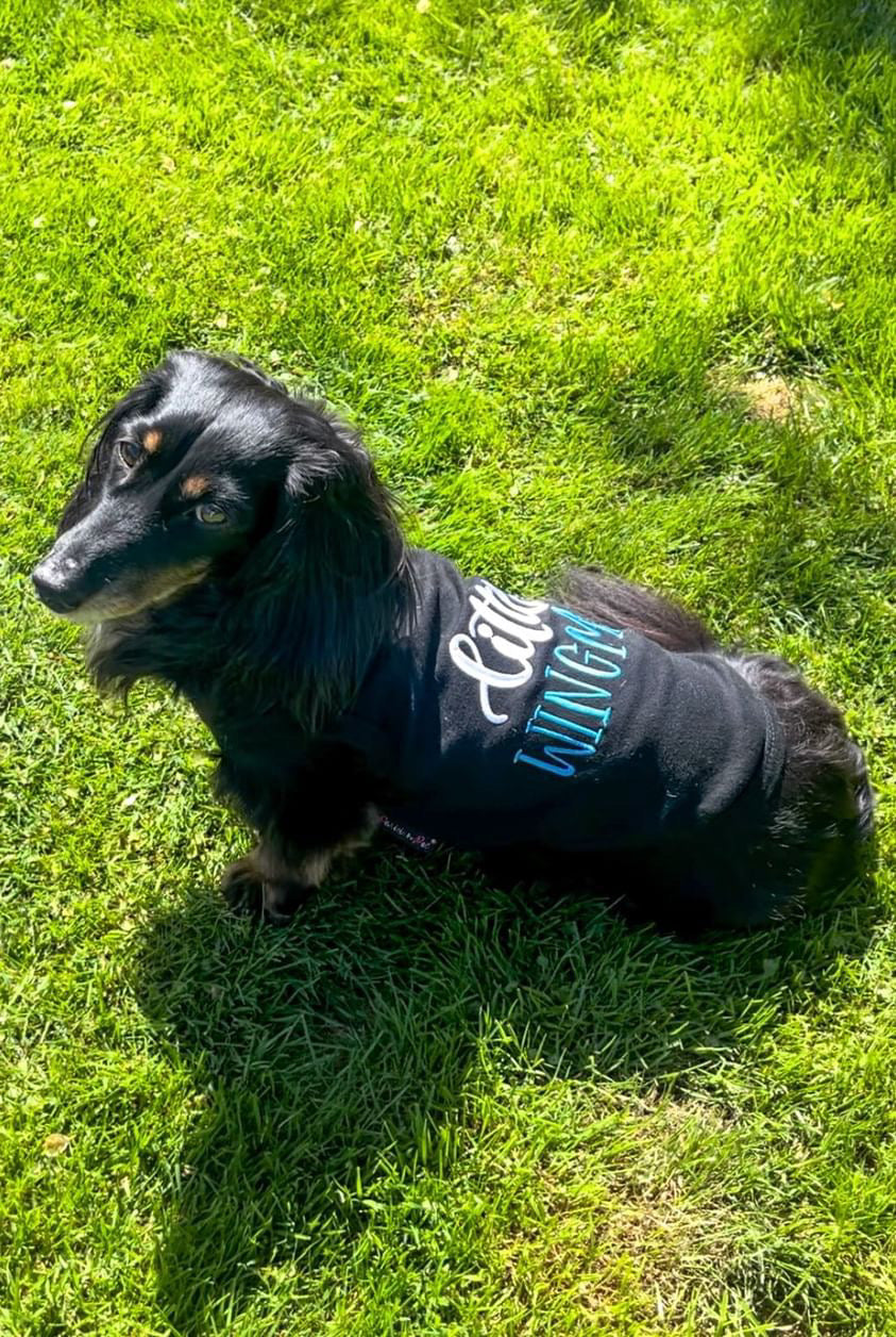 Parisian Pet Little Wingman Winged Dog T-Shirt-Black