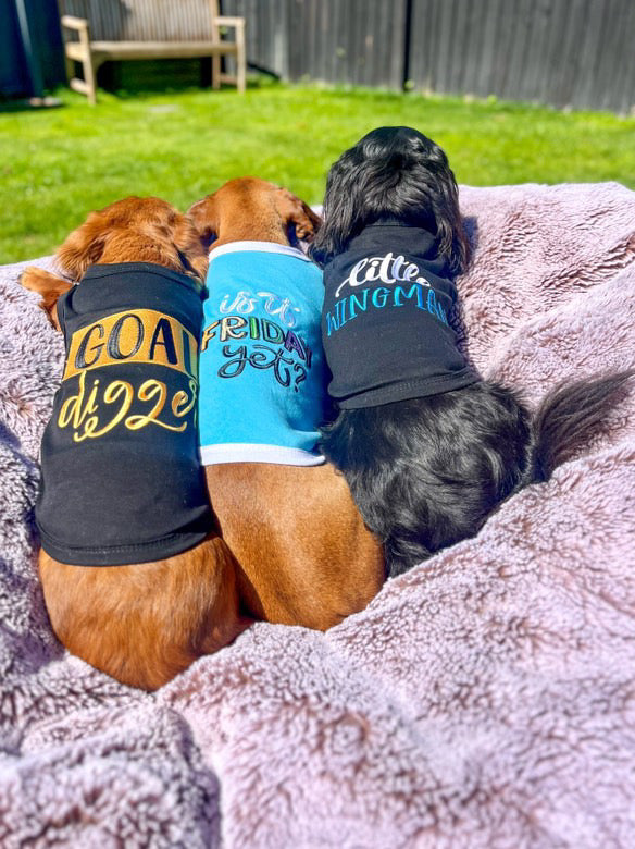 Parisian Pet Is It Friday Yet? Embroidered Dog T-Shirt  Trendy Weekend Dog Apparel for Dogs & Cats, Light Blue