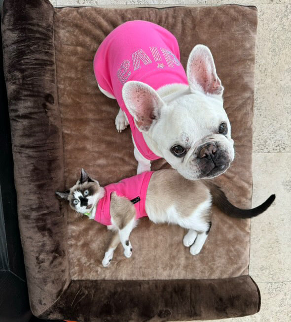 Parisian Pet Diva Dog T-Shirt-Pink