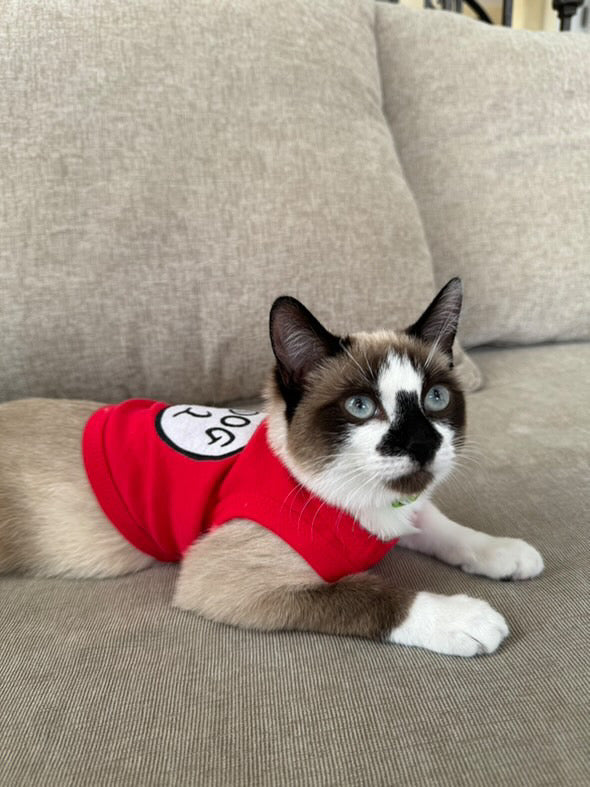 Parisian Pet Dog 2 Funny Slogan Dog Shirt  Playful Embroidered Pet Apparel for Dogs & Cats, Red