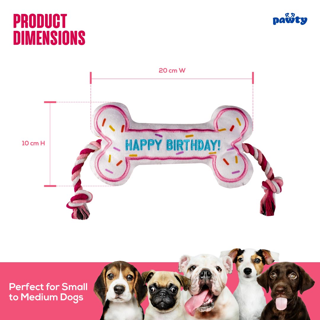 Pawty Birthday Bone Plush Dog Toy