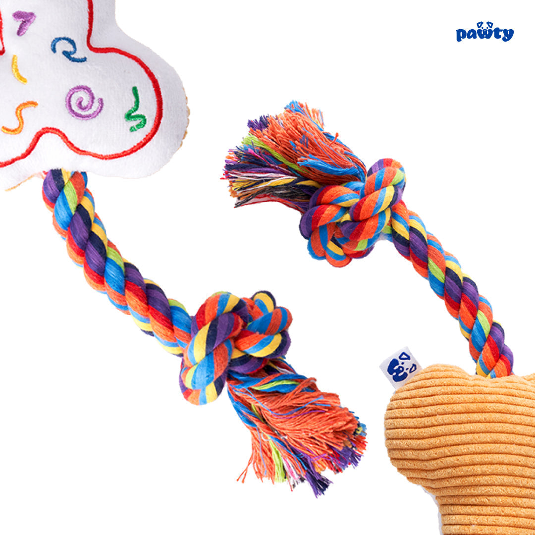 Pawty Love Bone Rainbow Plush Dog Toy