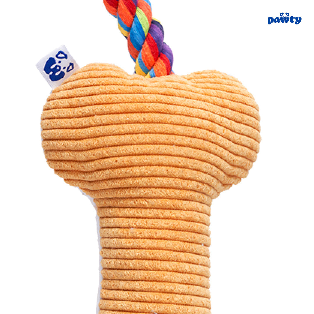 Pawty Love Bone Rainbow Plush Dog Toy