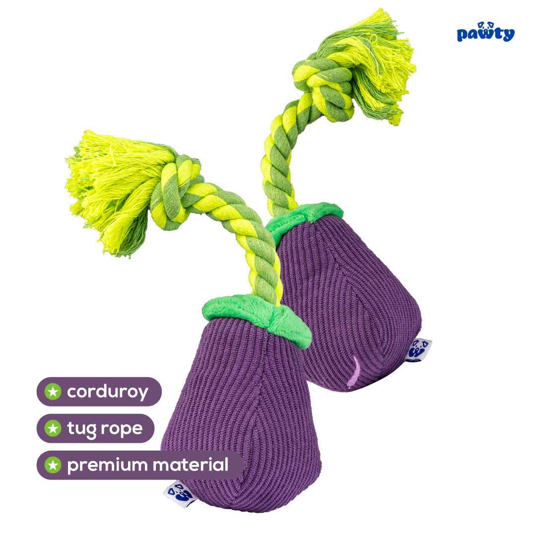 Pawty Eggplant Plush Dog Toy