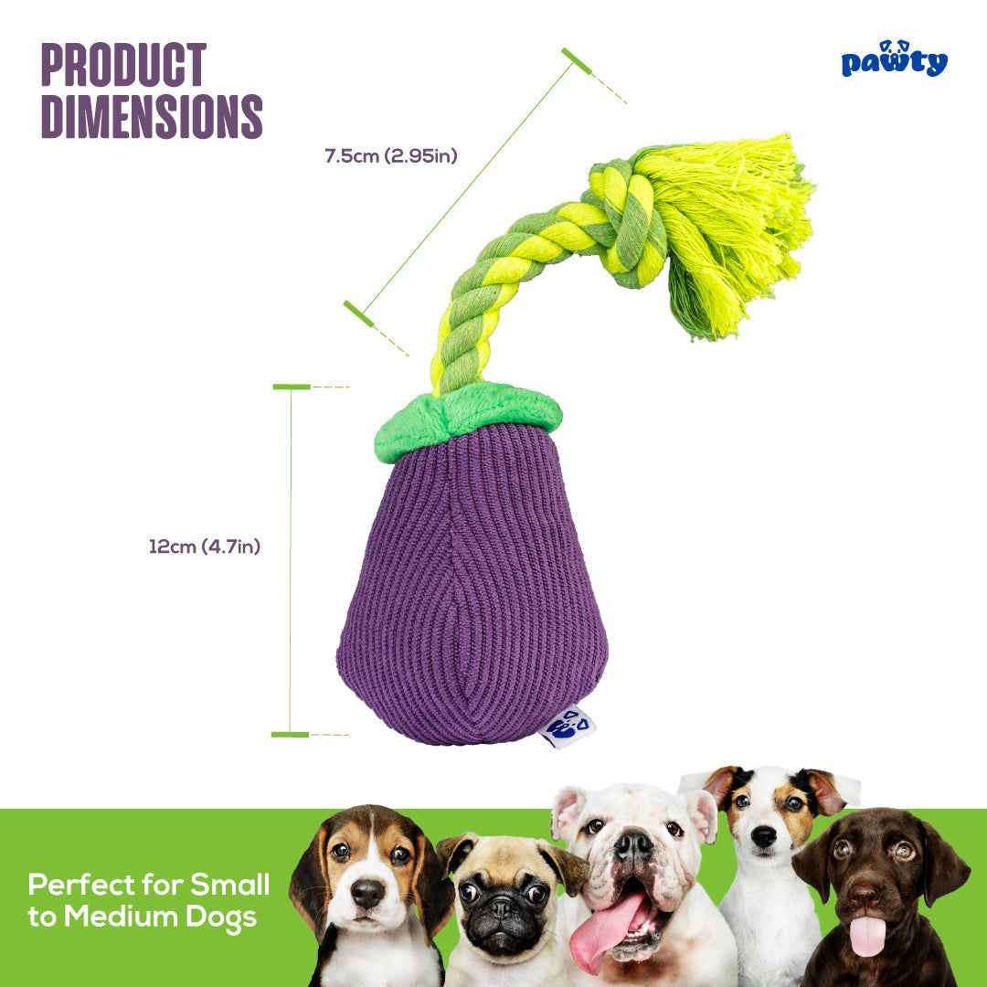 Pawty Eggplant Plush Dog Toy