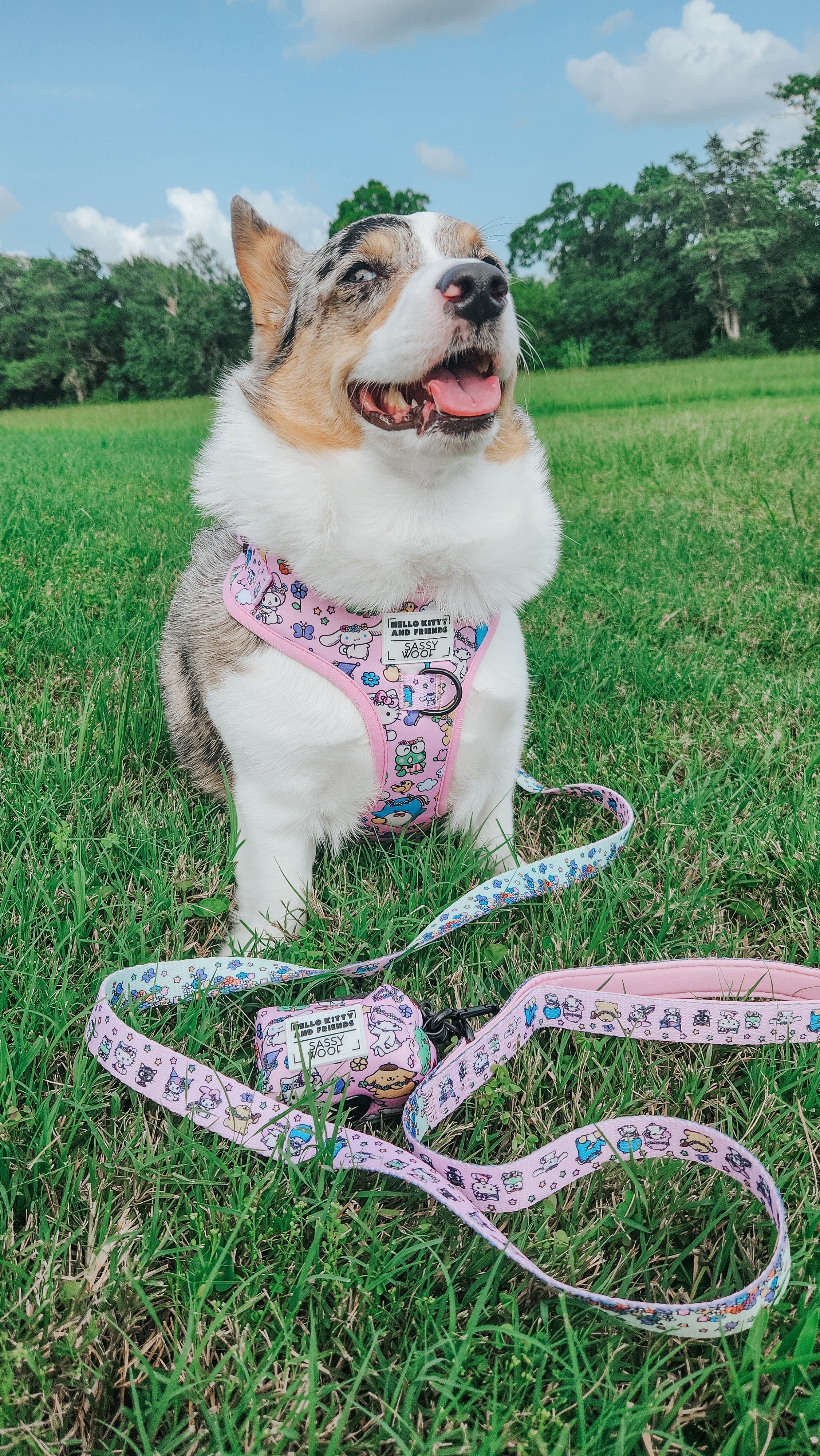 Dog Adjustable Harness - Hello Kitty® & Friends Flower Festival
