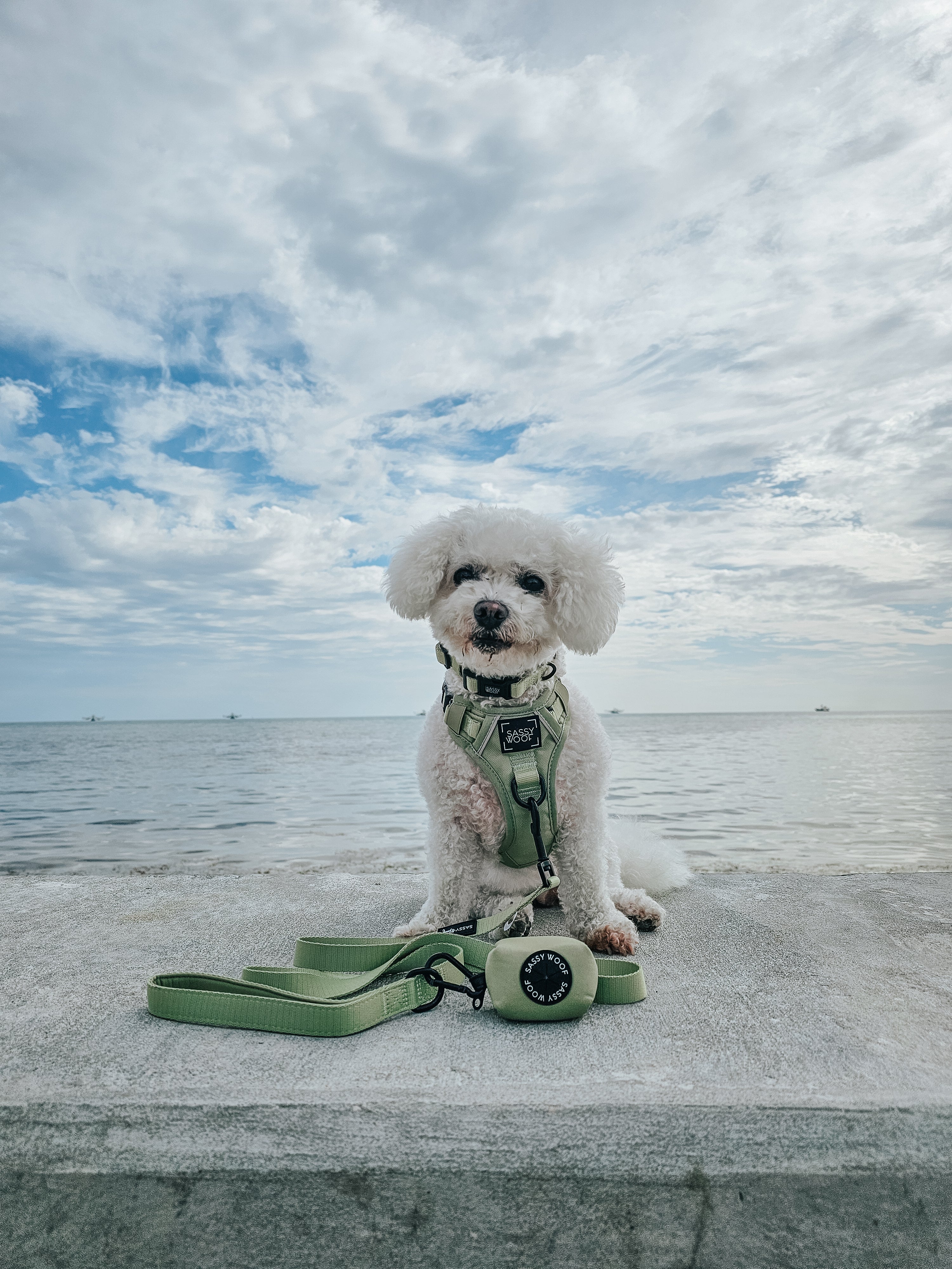 Dog Step-in Harness - Matcha
