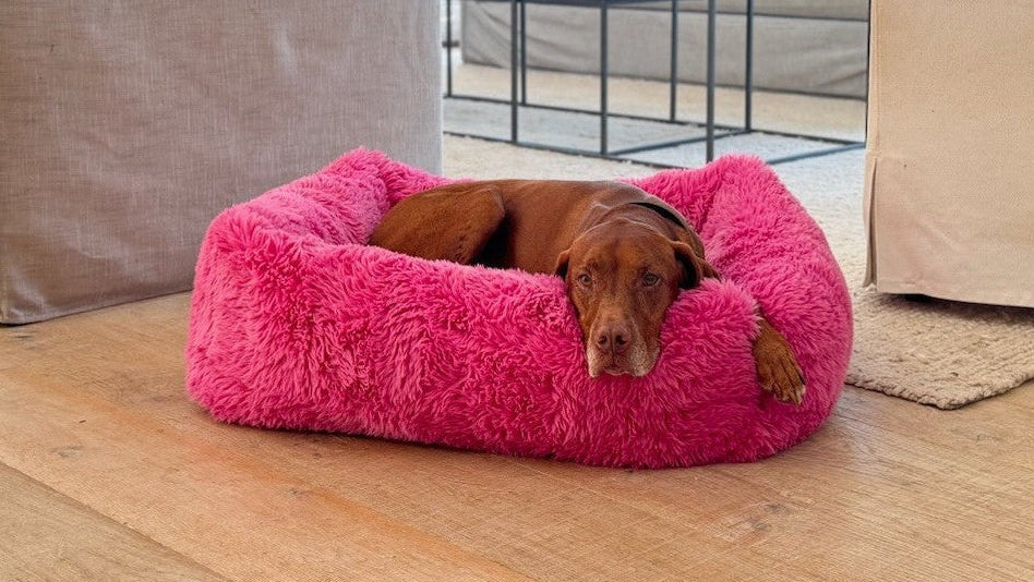 Bowsers Franklin Orthopedic Dog Bed – Overstuffed Plush Lounger