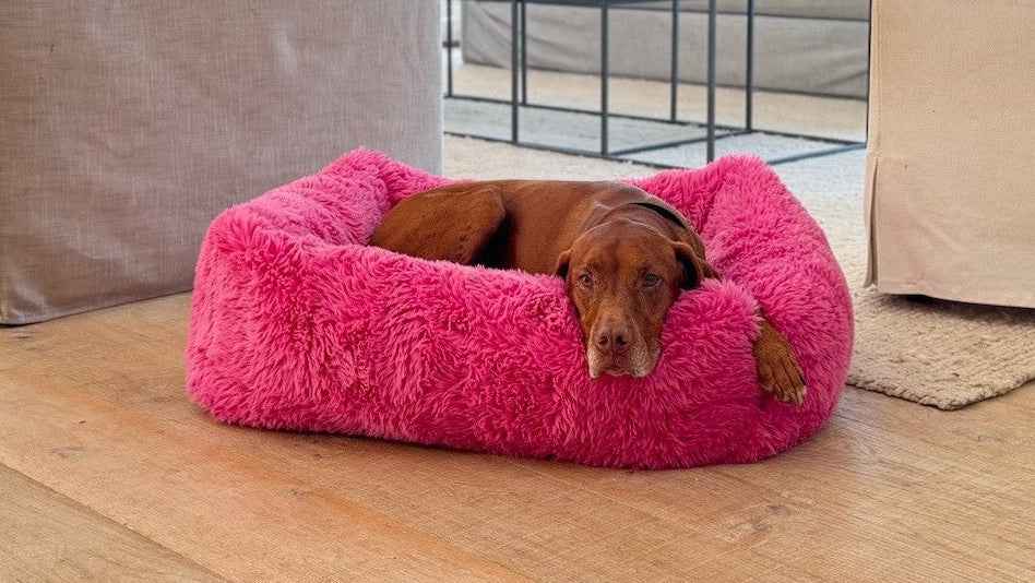 Bowsers The Franklin Faux Fur Orthopedic Dog Bed - Supportive Joint-Relief Comfort