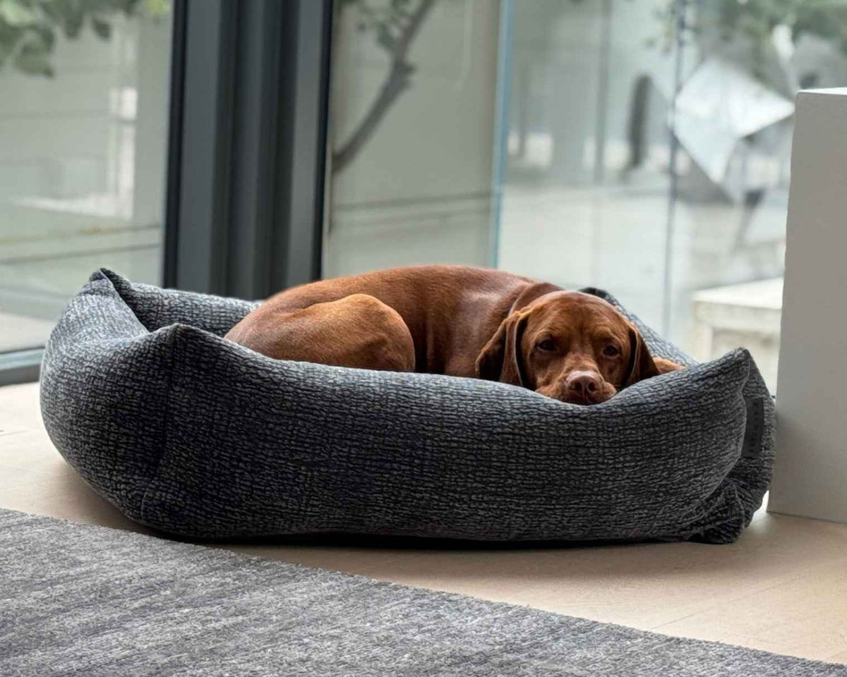 Bowsers Franklin Orthopedic Dog Bed - Overstuffed Plush Lounger