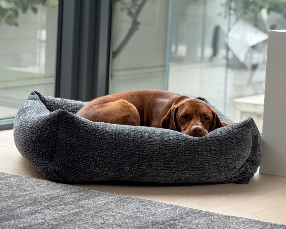 Bowsers The Franklin Faux Fur Orthopedic Dog Bed - Supportive Joint-Relief Comfort