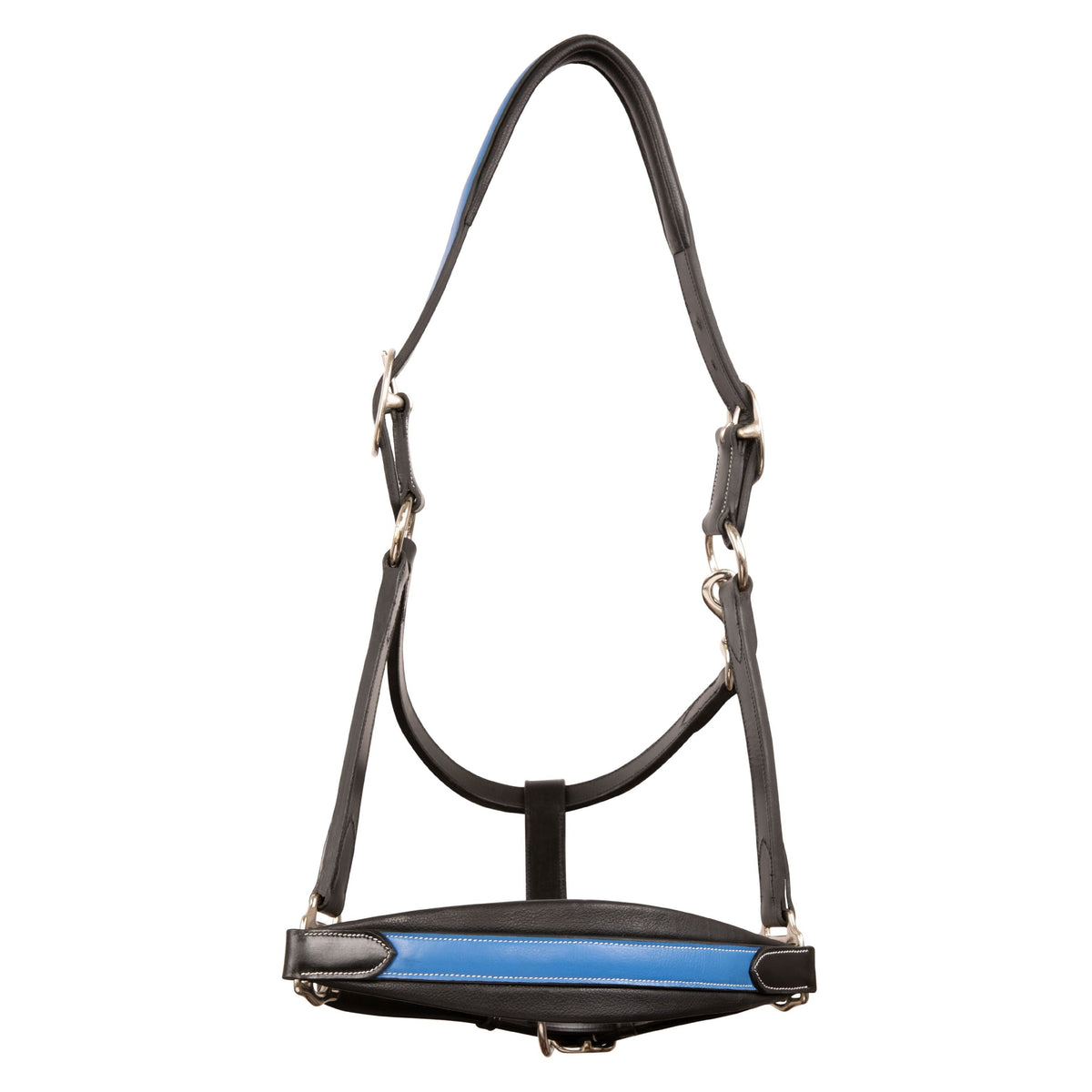 ExionPro Duo-Tone Leather Halter - Blue - HT Animal Supply
