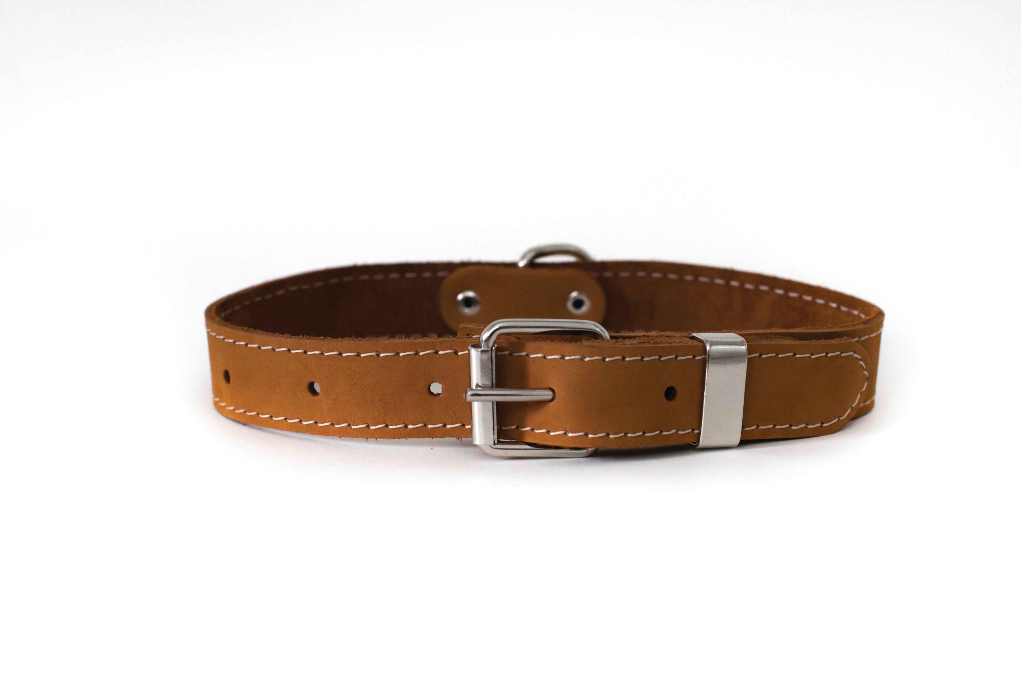 Euro-Dog Pro Line Leather Hunting Dog Collar