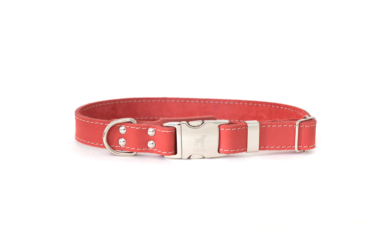 Euro-Dog Quick-Release Leather Dog Collar & Leash Set