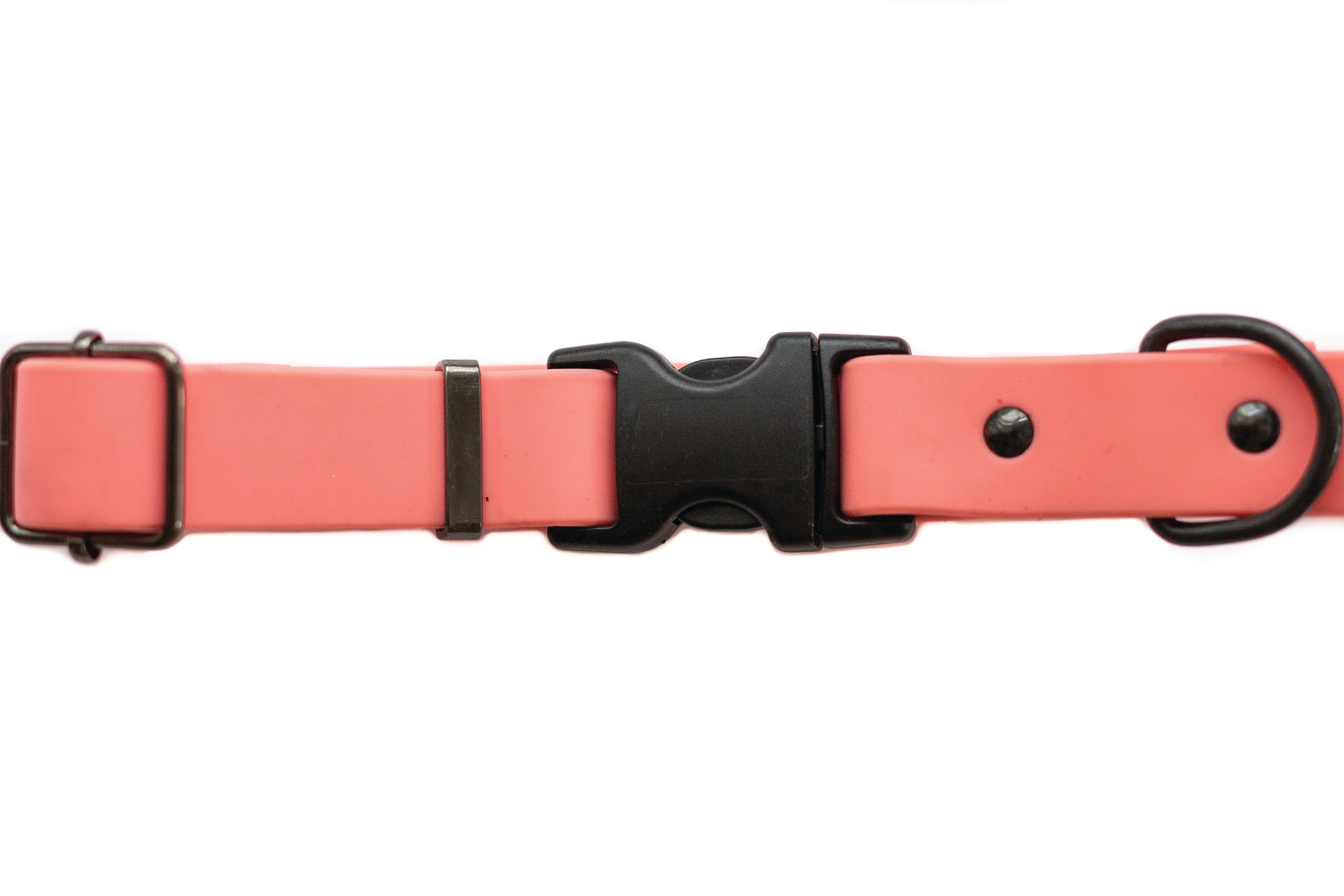 Waterproof Coral Reef Super Soft PVC Dog Collar