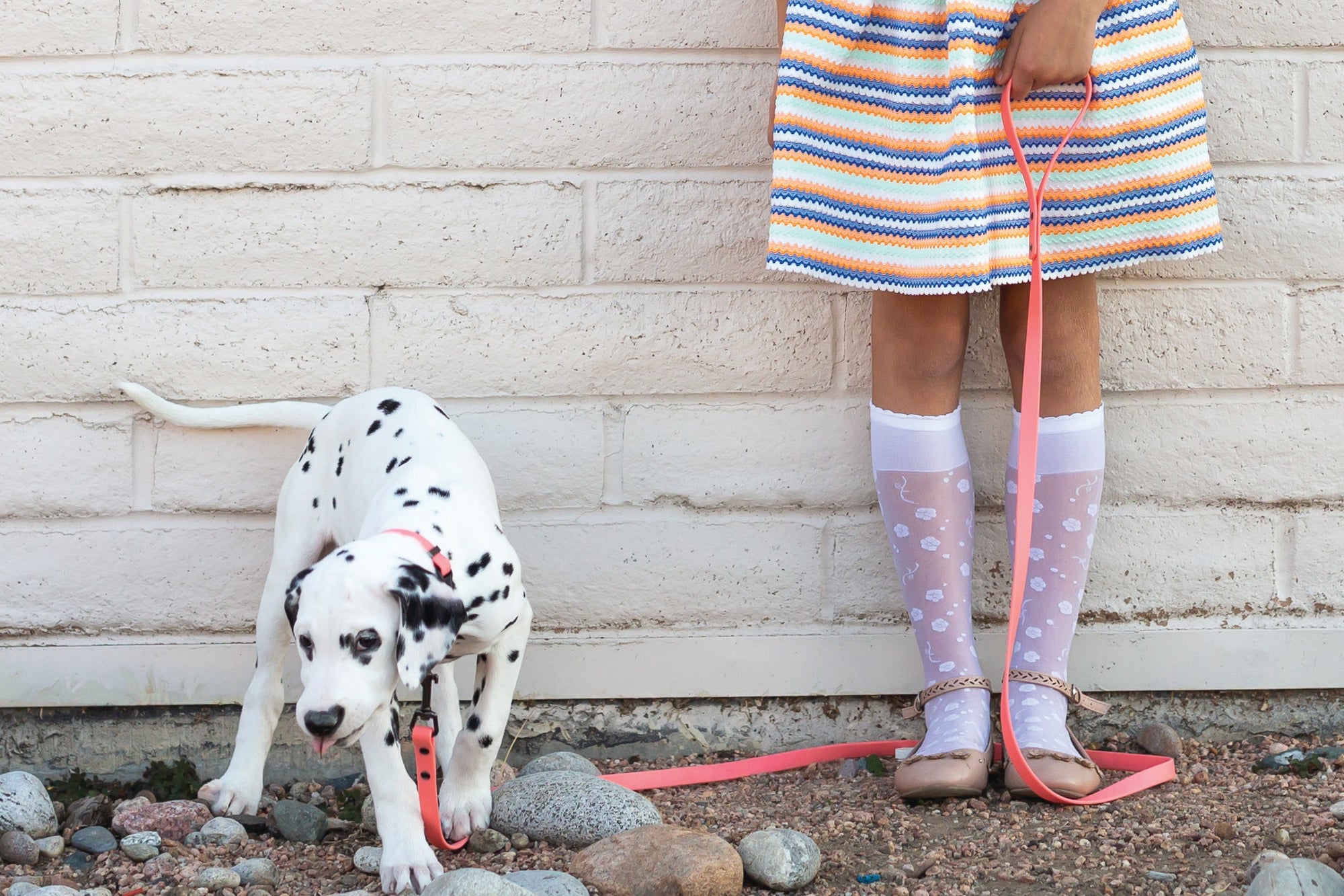 Euro-Dog Waterproof Soft-Touch PVC Dog Leash
