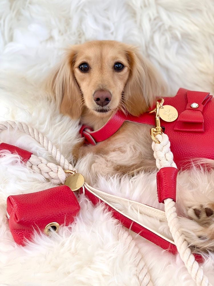 Harness - Melting Hearts