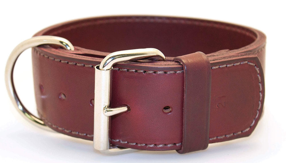 2" Latigo 2-Ply Leather Sporting Dog Collars with D-ring in Front