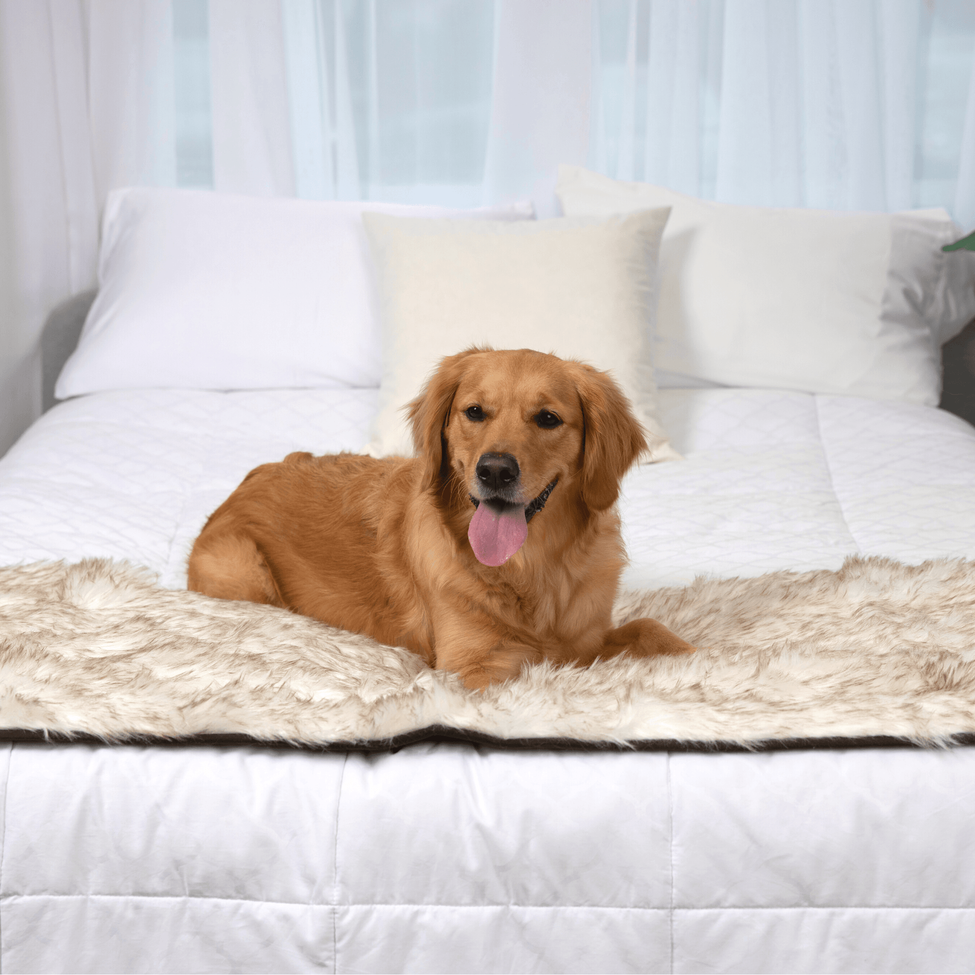 PupProtector Waterproof Bed Runner White with Brown Accents