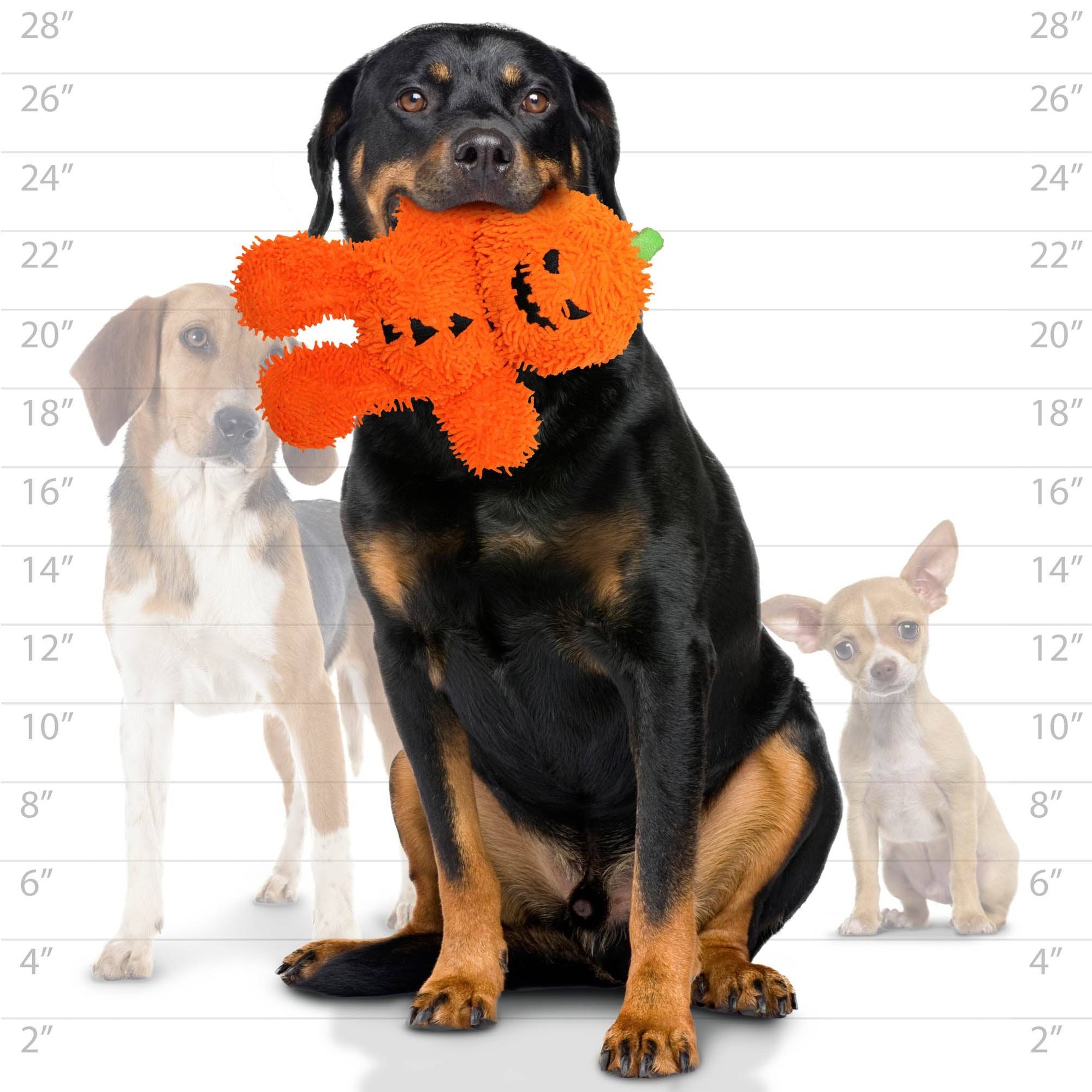 mighty® Microfiber Ball - Pumpkin Man