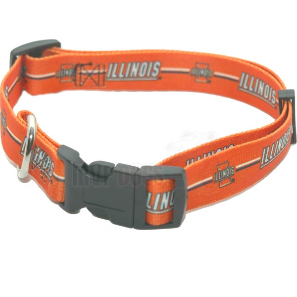 NCAA Illinois Fighting Illini Dog Collar by Hunter