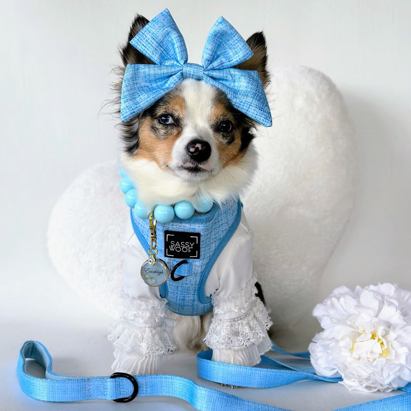 Dog Adjustable Harness - Blumond