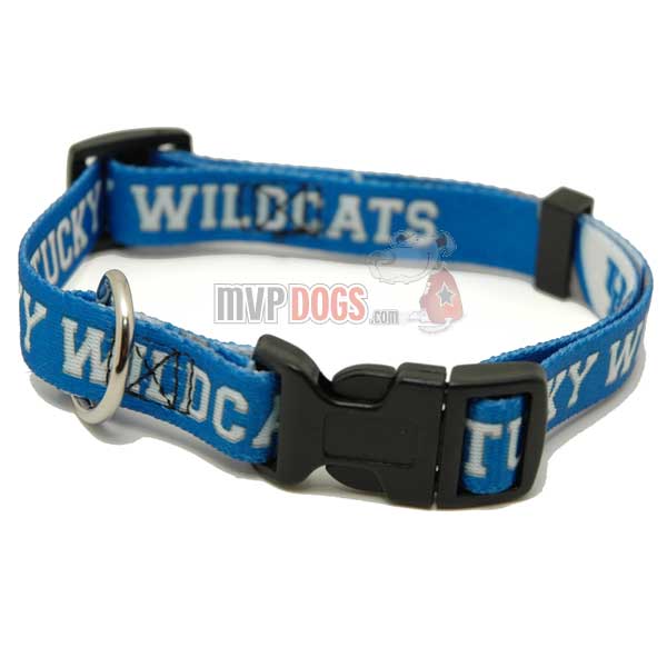 NCAA Kentucky Wildcats Dog Collar by Hunter
