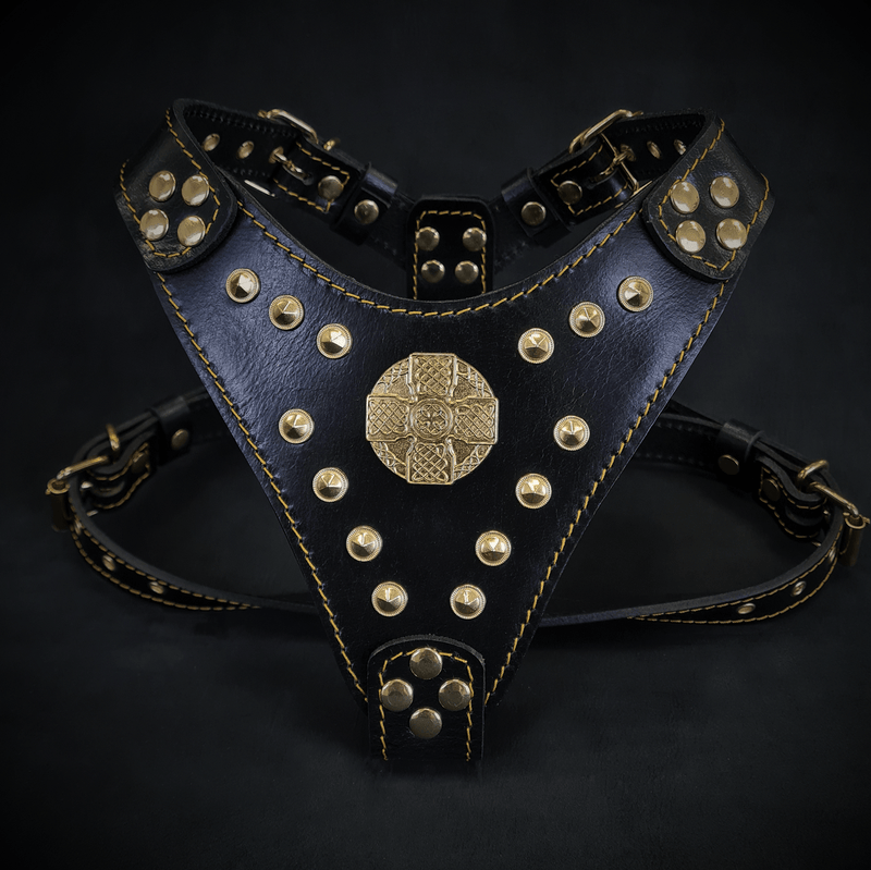 Bestia Dog Gear The Maximus harness Black & Gold Small to Medium Size Genuine Leather Black pet supplies