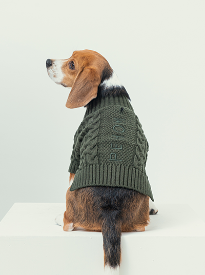 Bert Cardigan Sweater-Dark Green