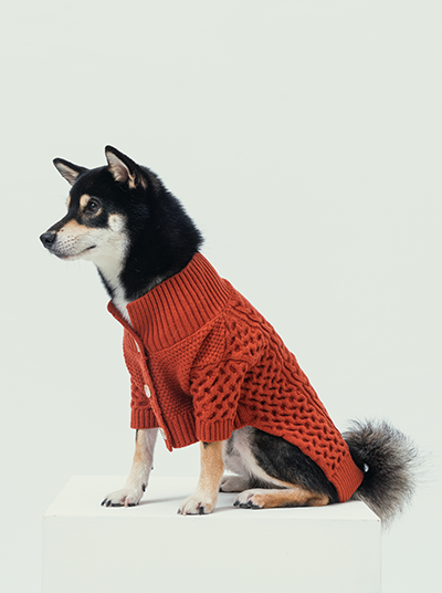 Bert Cardigan Sweater-Orange