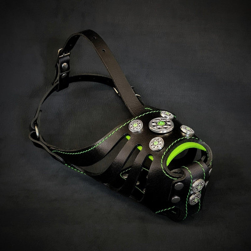 Bestia Dog Gear The Bijou Basket Muzzle Black & Green Green pet supplies
