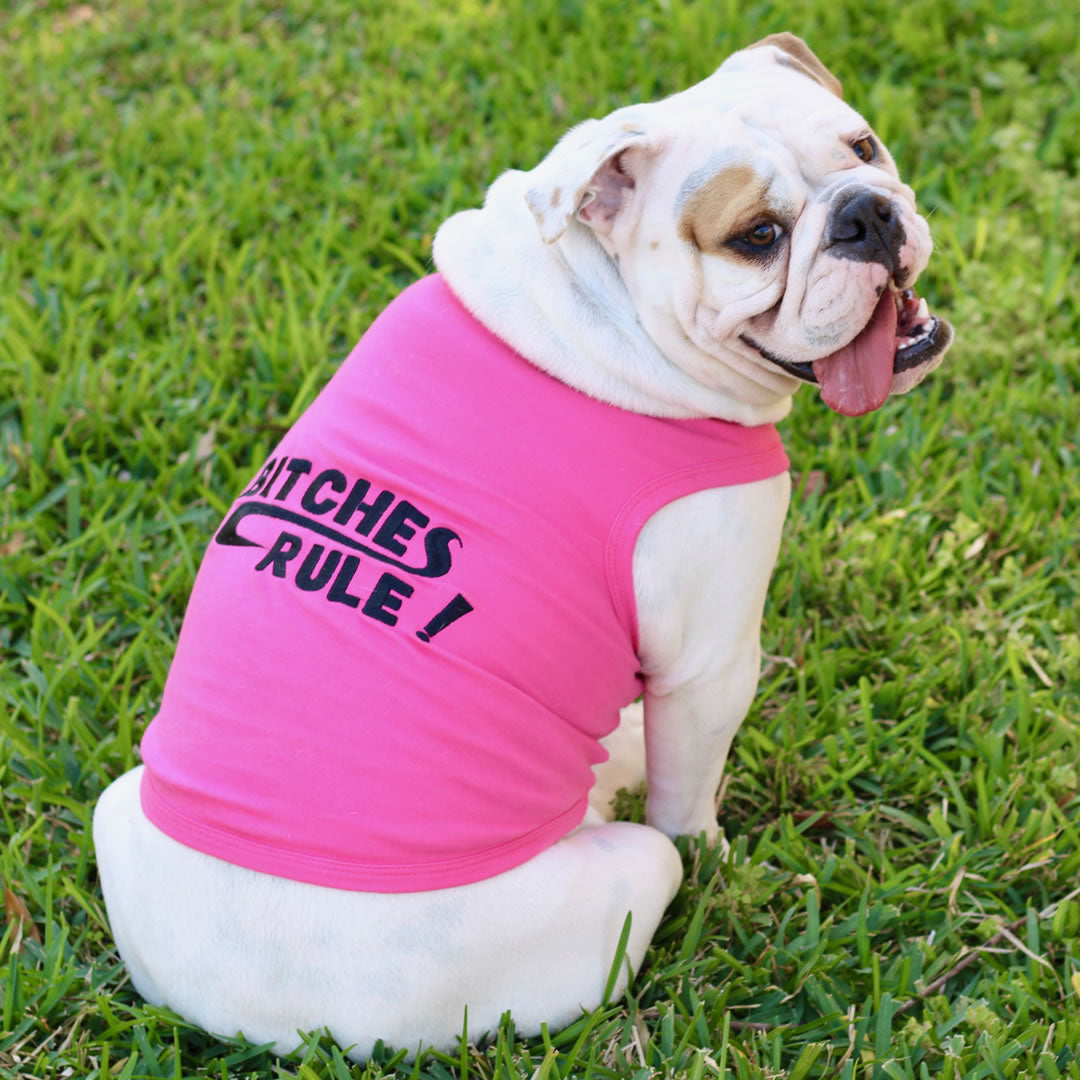 Parisian Pet Bitches Rule Dog & Cat T-Shirt  Funny Embroidered Cotton Apparel, Comfortable & Stylish  Pink