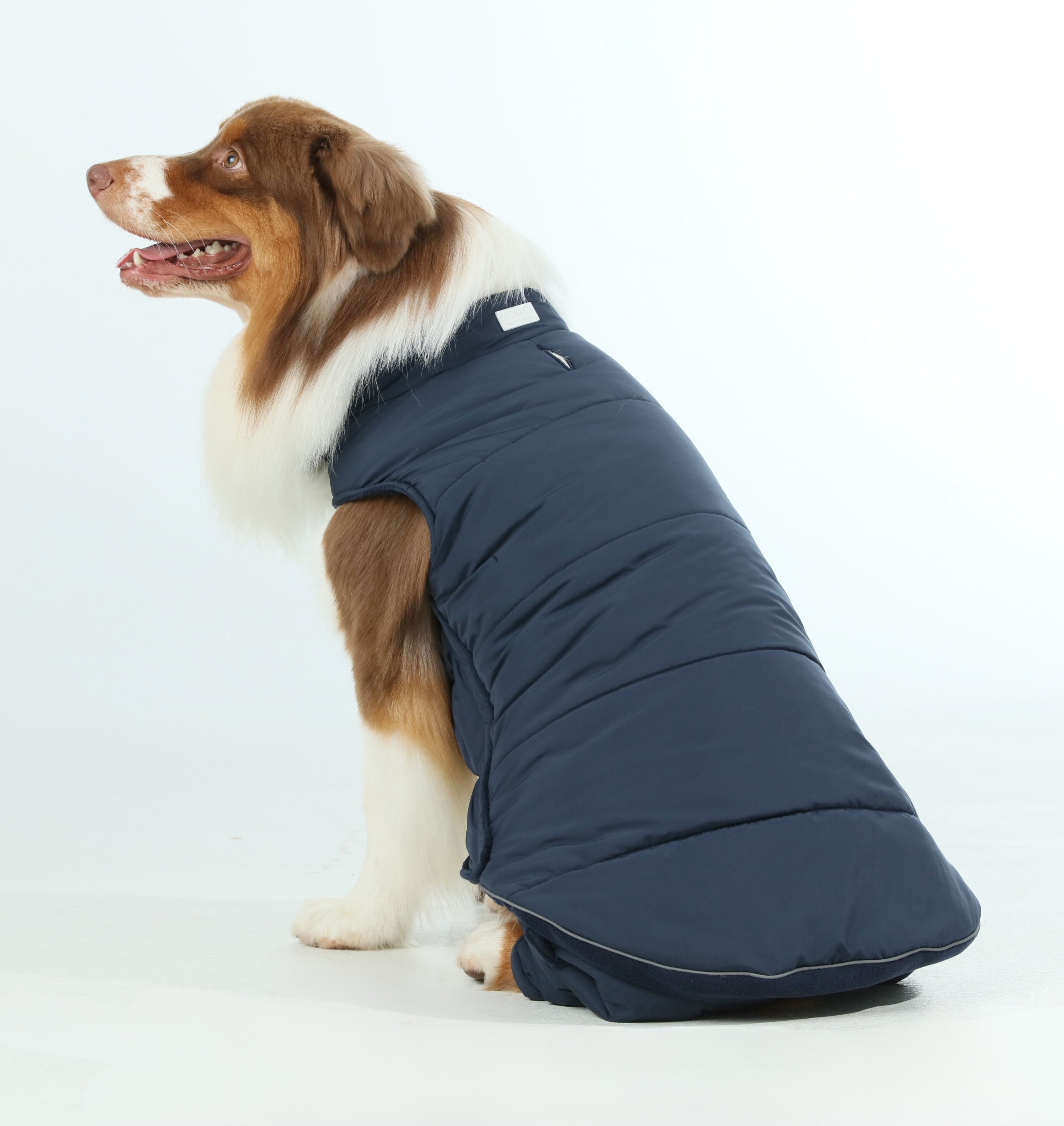 Reversible Dog Vest Jacket-Blue