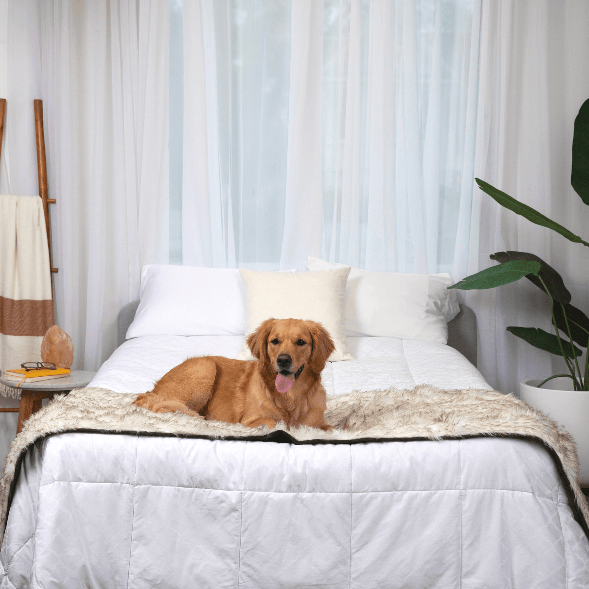 PupProtector Waterproof Bed Runner White with Brown Accents