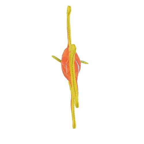 duraforce® Angel Fish