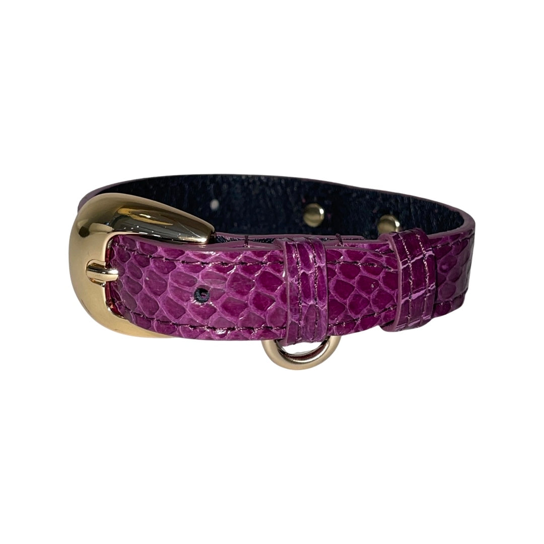 Allysa Payne XS/S 7"-14" Purple Custom Snake Dog Collar/Custom Gold Oval Italian Hardware