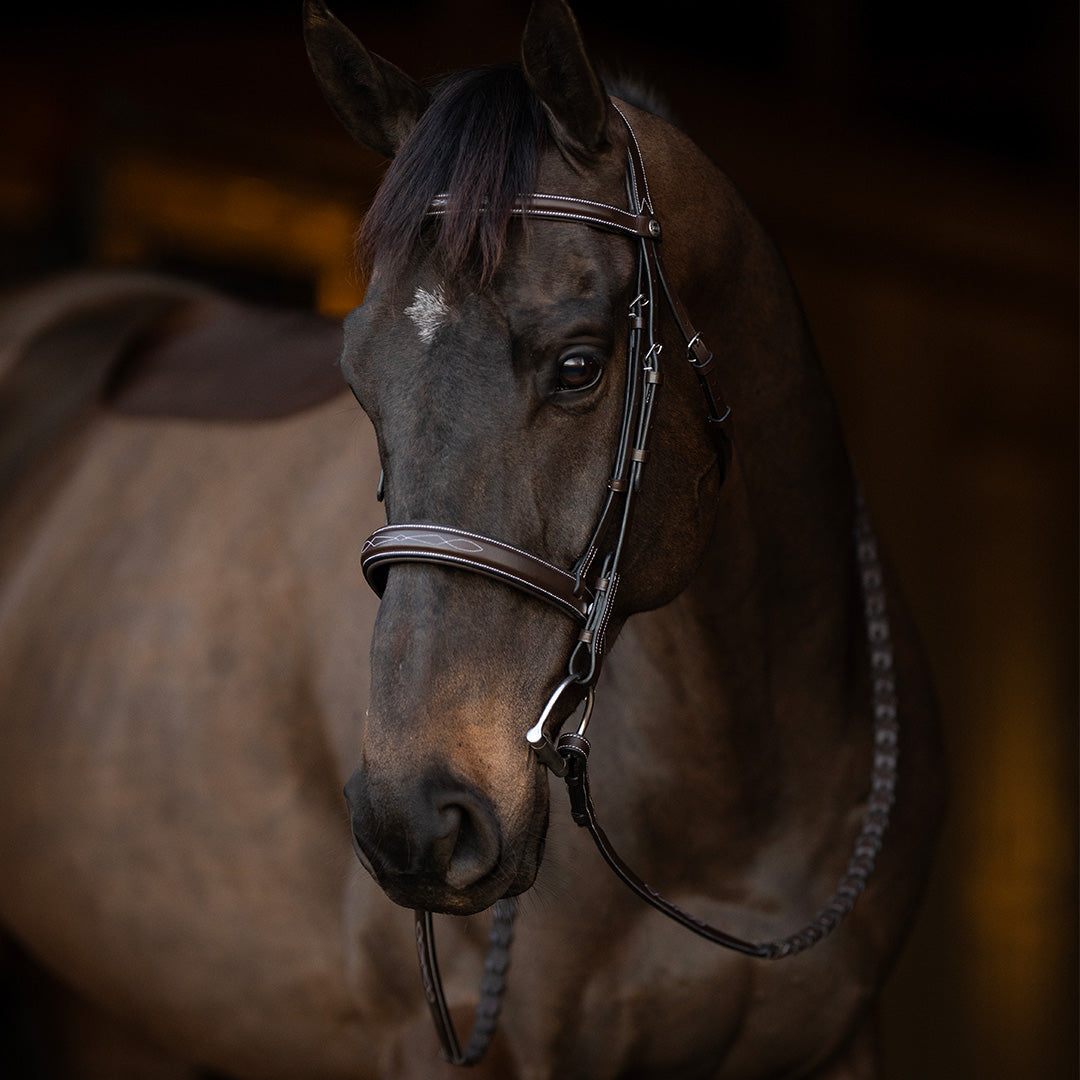 Henri de Rivel Pro Mono Crown Bridle with Padded Wide Noseband with Laced Reins