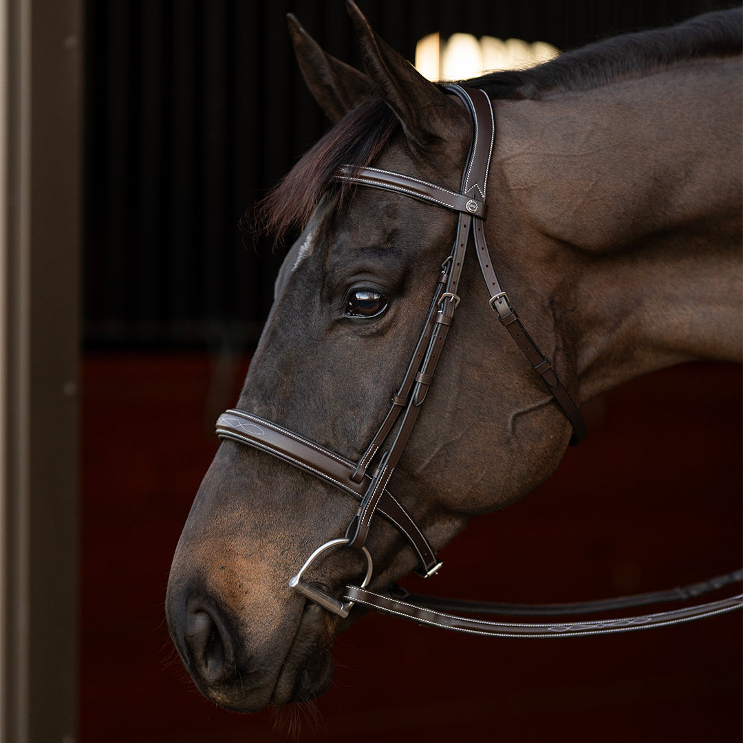 Henri de Rivel Pro Mono Crown Bridle with Padded Wide Noseband with Laced Reins