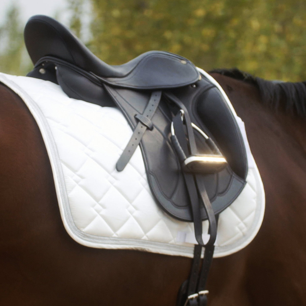 Henri de Rivel Parisian Monoflap IGP Dressage Saddle