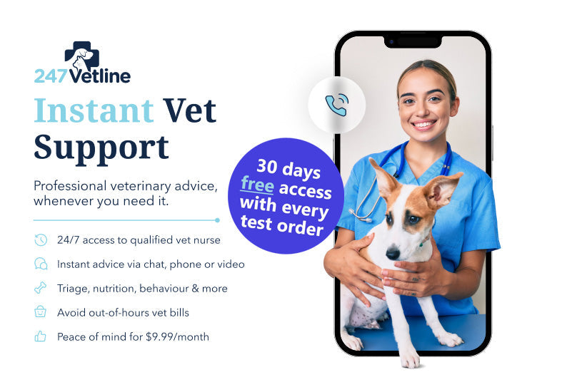 Ultimate Pet Food Sensitivity Test