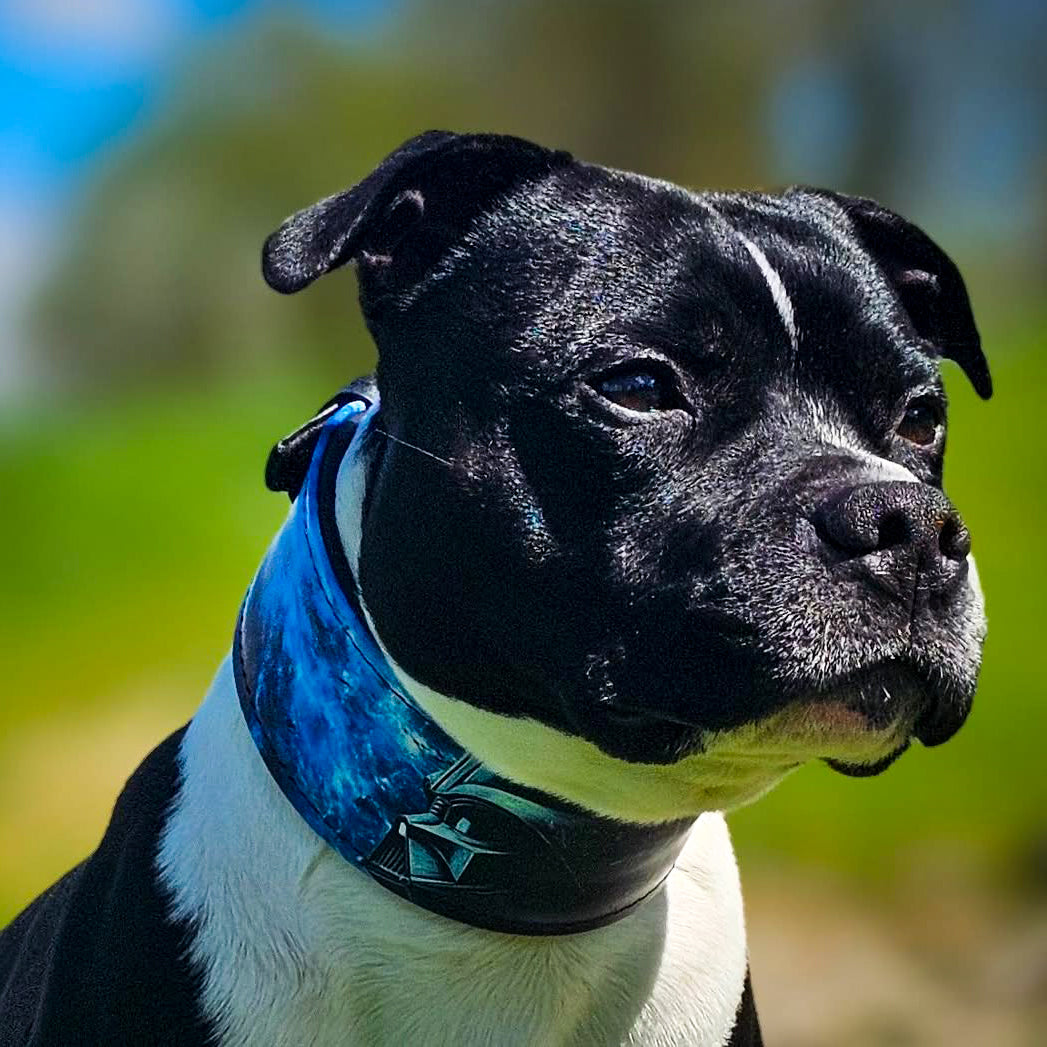 The Vader Limited Collar