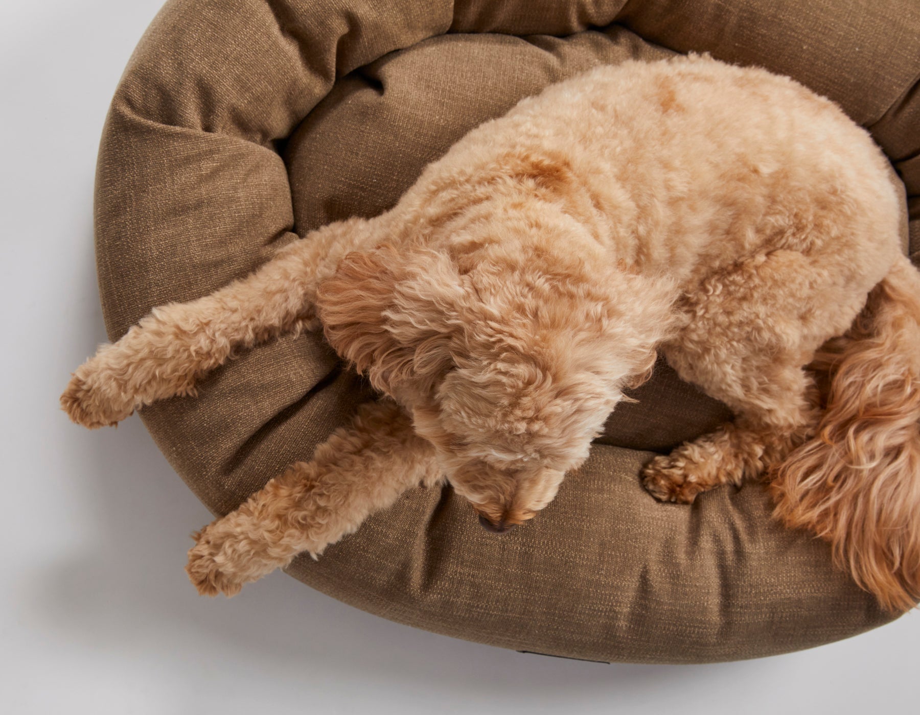 Warby Beige Donut Bed
