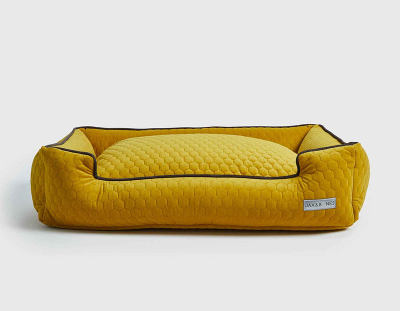 Bumble Chartreuse Lounge Bed