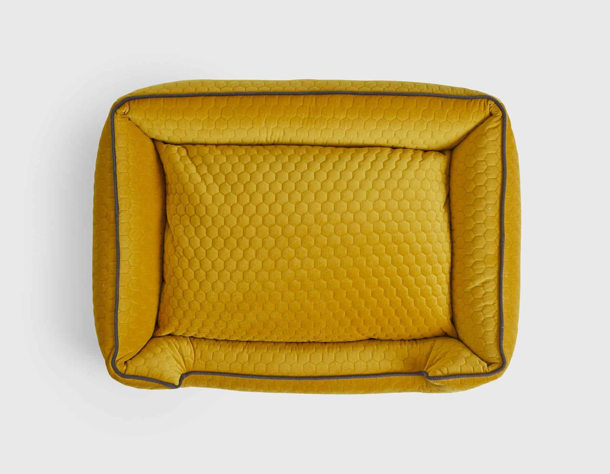 Bumble Chartreuse Lounge Bed